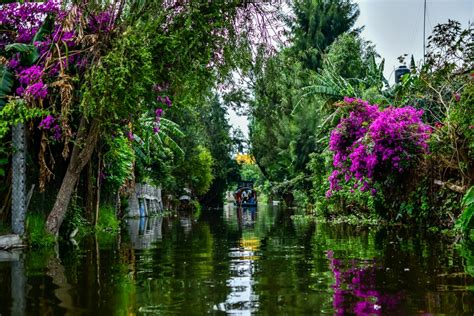 Cosas Que Descubrir En Xochimilco