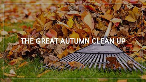 Autumn Cleanup Guide Get Your House Ready For This Autumn