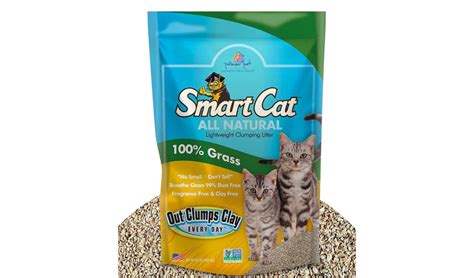 The 10 Best Clumping Cat Litter Brands