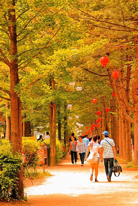 Autumn In South Korea The Country S Best Spots For Fall In One