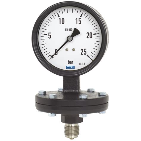 Diaphragm Pressure Gauge 422 12 423 12 WIKA Canada