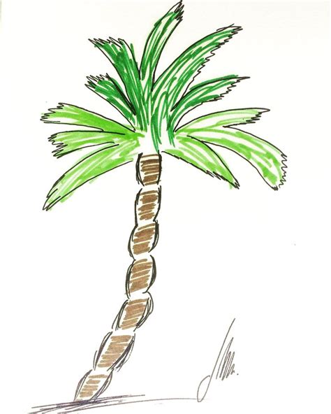 Palm Tree watercolor Minha terra tem palmeiras Onde canta o Sabiá As