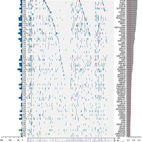 Plot Of Significantly Mutated Genes From The Mutsig2 0 Computational Download Scientific