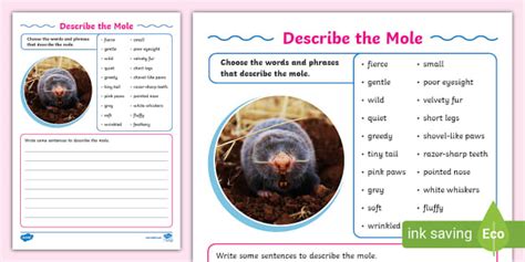 Describe The Mole Writing Worksheet Teacher Made Twinkl Worksheets Library