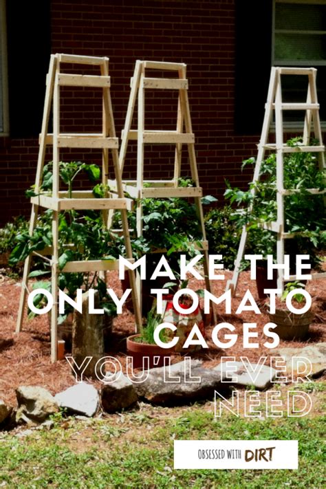 Cheap And Easy Diy Tomato Cages Gardeners Magazine