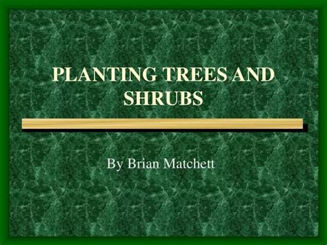 Ppt Planting Trees And Shrubs Powerpoint Presentation Free Download