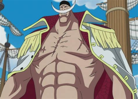 La Recompensa De Barba Blanca One Piece Amino