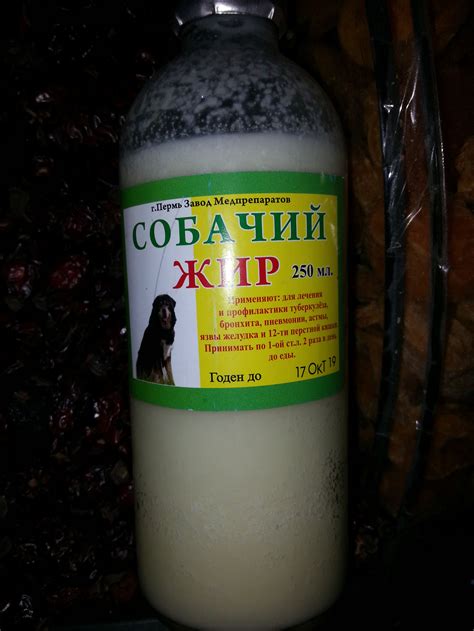 Собачий жир | Пикабу
