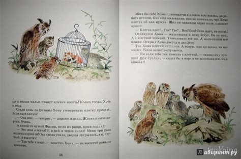 Книга: Приключения Хомы - Альберт Иванов. Купить книгу, читать рецензии ...
