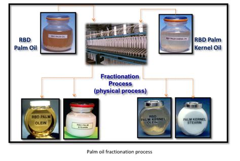 Palm Oil Fractionation Technologyindustry News