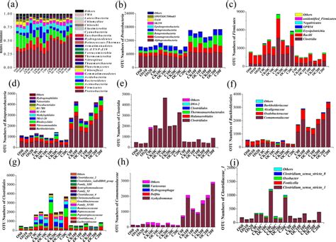 Taxonomic Classification Of Bacterial At The Phylum Level A The Download Scientific Diagram