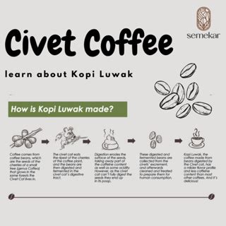 Jual Kopi Luwak Liar Arabica Aceh Gayo Coffee Asli Gram Fresh By