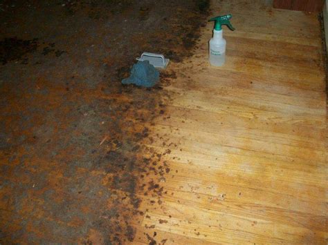 Cork Flooring Glue Down Clsa Flooring Guide