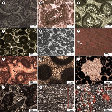 Photomicrographs Showing The Diagenetic Features In The Southern Aef