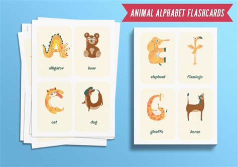 The Animal Alphabet Flashcards Are On Display