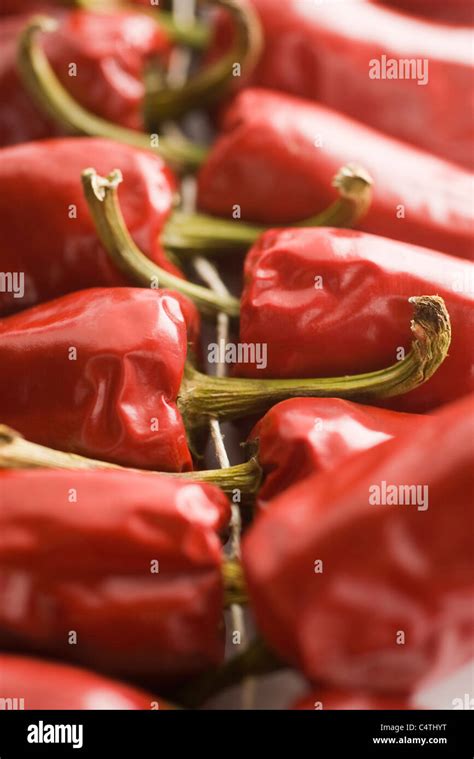 Red Chili Peppers Stock Photo Alamy