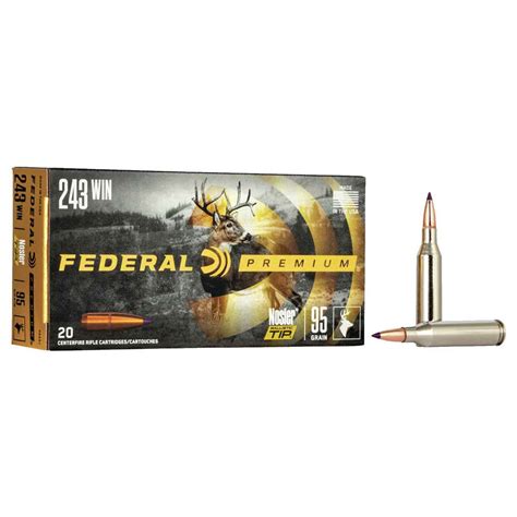 Federal Premium 243 Winchester 95gr Nosler Ballistic Tip Rifle Ammo ...