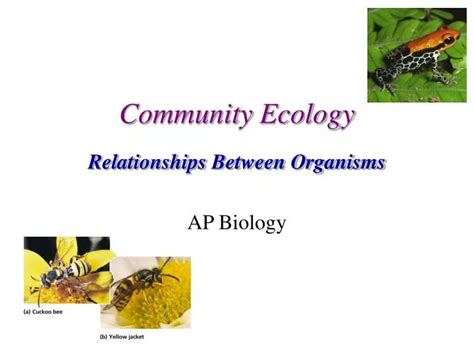 Ppt Community Ecology Powerpoint Presentation Free Download Id 3036880