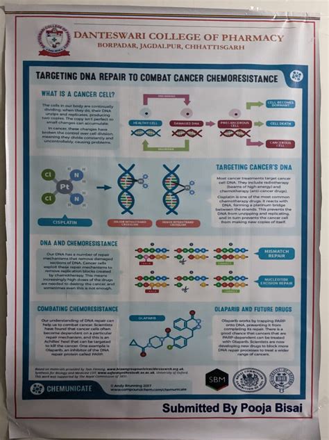 Poster Presentation By Students Danteswari College Of Pharmacy