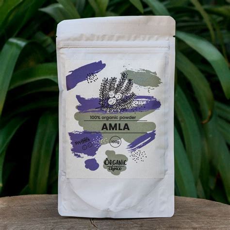 Organic Choice Amla Powder 100g Onelifehealth