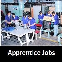 Apprentice Jobs 2025 Apply For Latest 1747 Vacancies