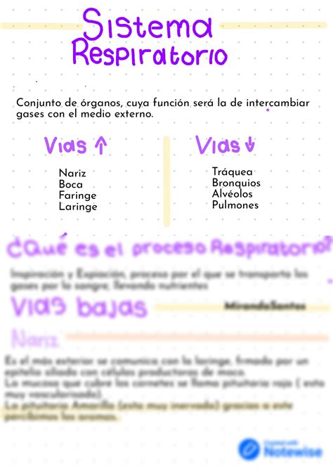 SOLUTION Sistema Respiratorio Generalidades Studypool