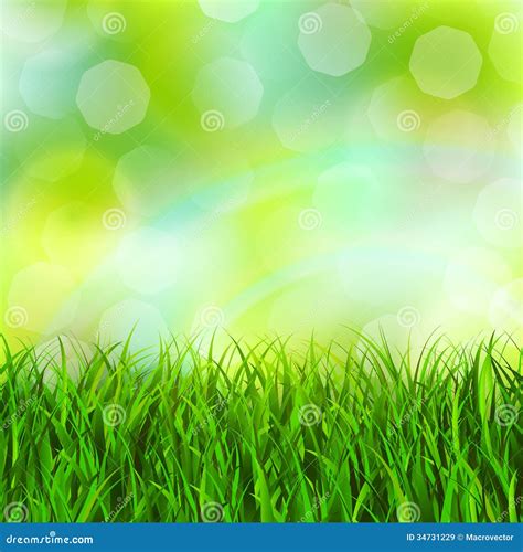 Grass Background Stock Vector Illustration Of Green 34731229