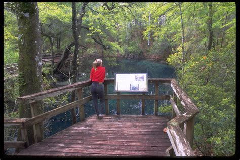 Img0087 Leon Sinks Geological Area National Forests In Florida Flickr