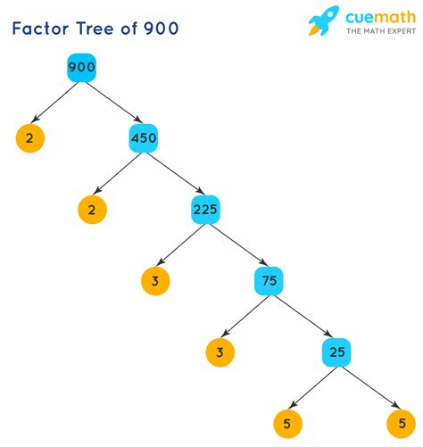 Factors Of 900 Find Prime Factorizationfactors Of 900