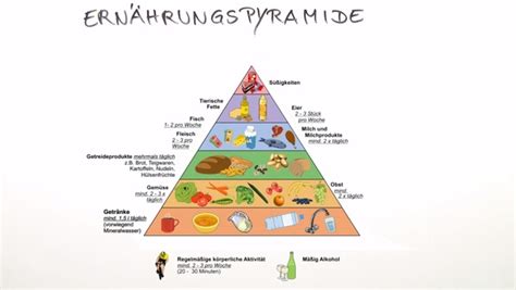 Zusammensetzung Der Nahrung Und Gesunde Ernährung Online Lernen