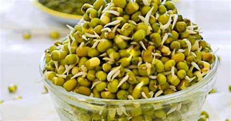 How To Sprout Moong Dal Homemade Sprouts Recipe Moong Dal Salad