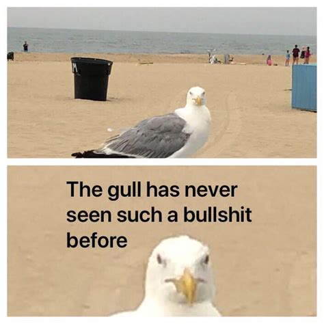 gull meme : r/MemeTemplatesOfficial