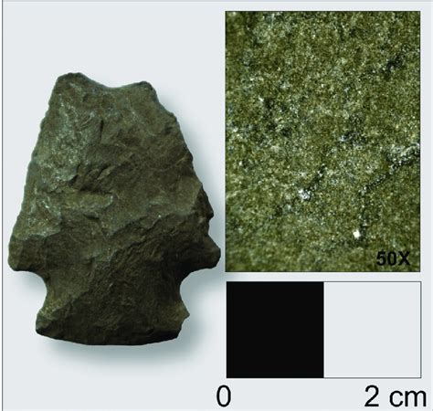 zelmer  mudstone projectile point uncatalogued zelmer collection  scientific