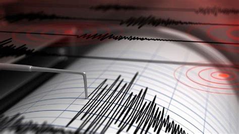 Apa Itu Alat Pendeteksi Gempa Bumi Seismograf Simak Begini Penjelasan