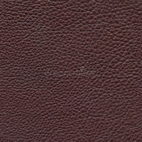 Seamless Brown Leather Texture Stock Photo - Image of skin, brown ...