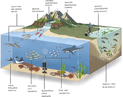 Molecular Ecology Molecular Genetics Journal Wiley Online Library