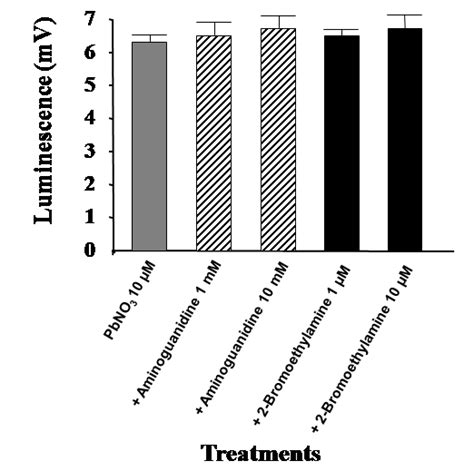 Potential Role Of Copper Containing Amine Oxidases In Lead Induced