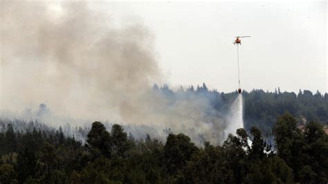 Incendios Forestales En La Regi N De Valpara So Han Consumido Casi