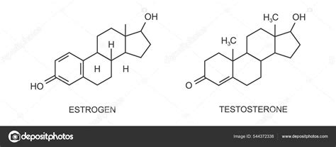 Testosterone And Estradiol Icons Chemical Molecular Structure Steroid