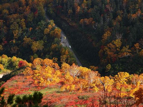 Hokkaido Travel Blog Autumnplaces To Visit In Hokkaido During Autumn