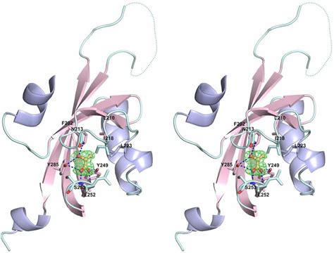 Architecture Of Ligand Binding Site In Membrane Proximal Module Of Tlpc