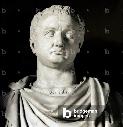 Bust Of Vespasian Titus Flavius Vespasianus Ad Roman Emperor