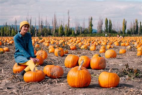 A Locals Guide To Flower Fields And Festivals In Oregon