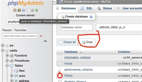 Cara Hapus Database Di Phpmyadmin