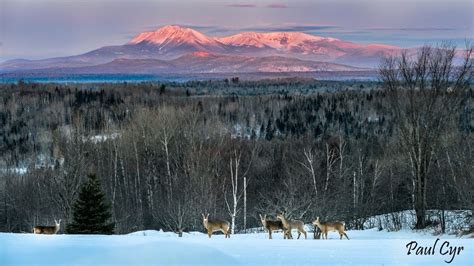 Paul Cyr Photography 1st Light On Katahdin Feb 27 2013 Baxter State Park Natural Landmarks