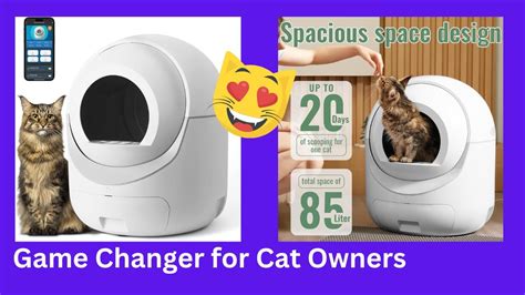 The Meegeem Self Cleaning Cat Litter Box Youtube