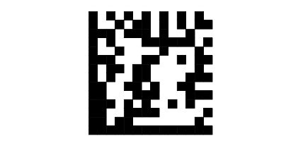 Data Matrix ECC200 - Data Matrix Sample Barcodes, Data Matrix with ...