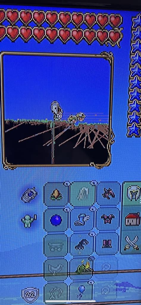 Is The Fennec Fox Pet Rare Rterraria