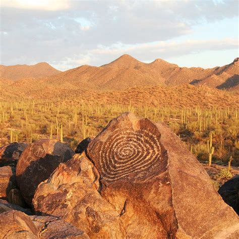 Beautiful Things To Do In Saguaro National Park Artofit