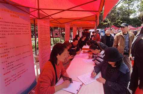 雨花区首个“就业微市场”揭牌成立 湖南民生网